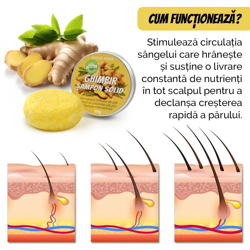 Sampon cu Ghimbir Organic Impotriva Caderii Parului, Efect Regenerator, 100% Natural