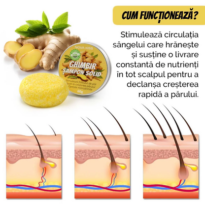 Sampon cu Ghimbir Organic Impotriva Caderii Parului, Efect Regenerator, 100% Natural